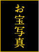 Ĥͧ鹬